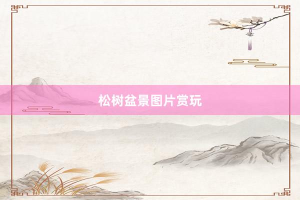 松树盆景图片赏玩