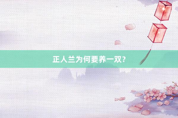 正人兰为何要养一双?