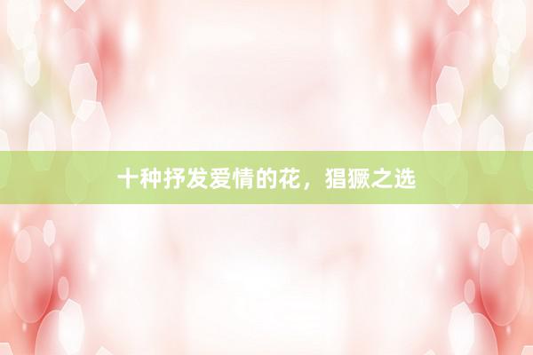 十种抒发爱情的花，猖獗之选