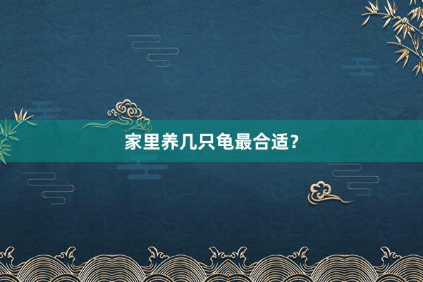 家里养几只龟最合适？