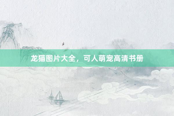 龙猫图片大全，可人萌宠高清书册