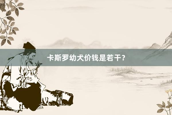 卡斯罗幼犬价钱是若干？